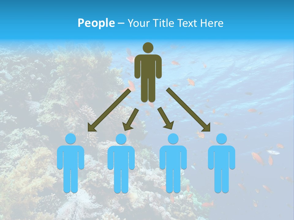 Scuba Diving Sinai Ocean PowerPoint Template