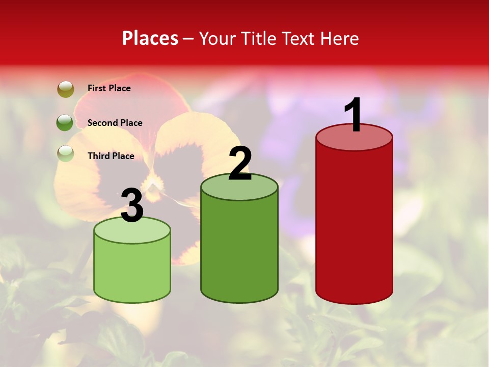 Pansy Colorful Flower PowerPoint Template