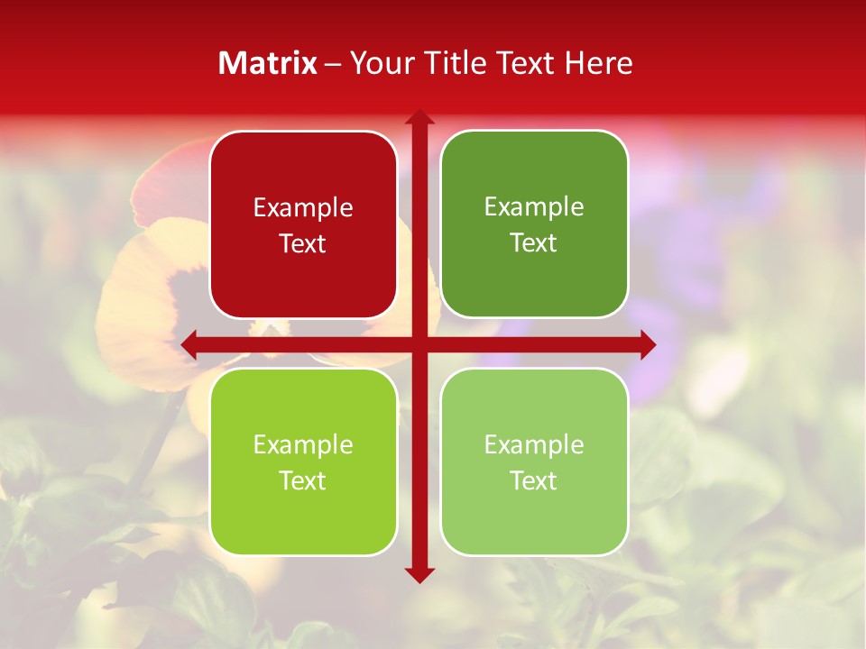 Pansy Colorful Flower PowerPoint Template