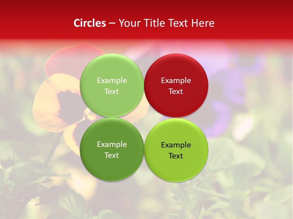 Pansy Colorful Flower PowerPoint Template