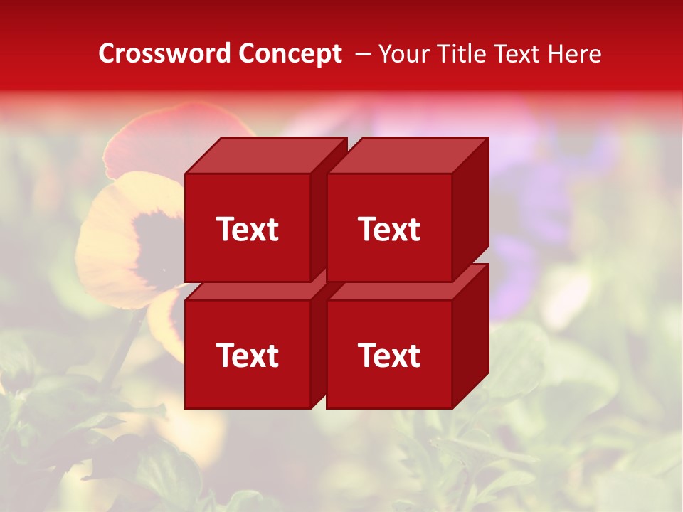 Pansy Colorful Flower PowerPoint Template