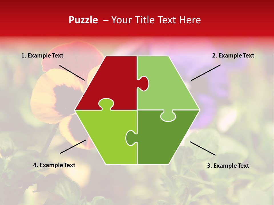 Pansy Colorful Flower PowerPoint Template