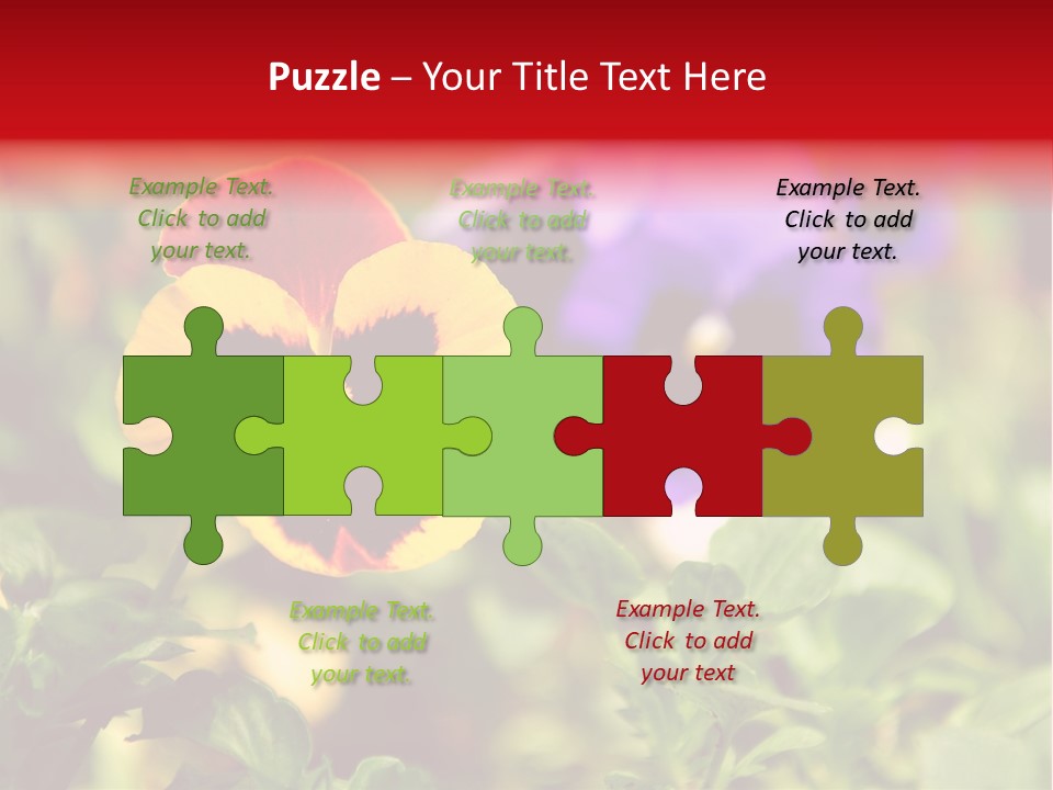 Pansy Colorful Flower PowerPoint Template