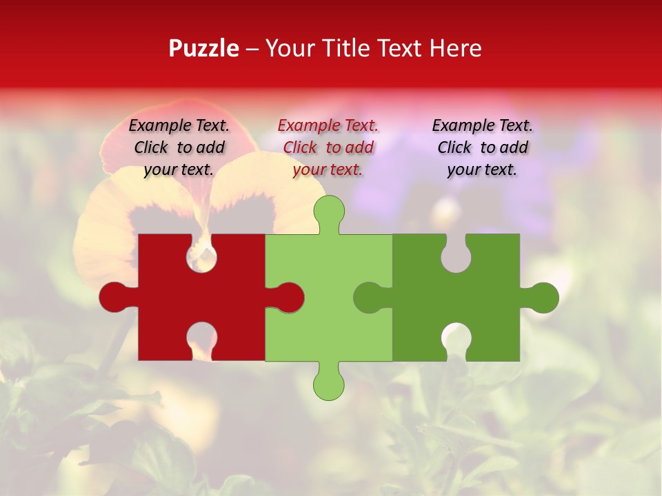 Pansy Colorful Flower PowerPoint Template