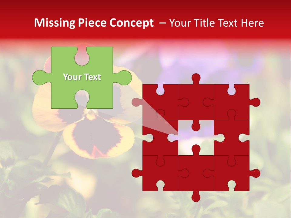 Pansy Colorful Flower PowerPoint Template