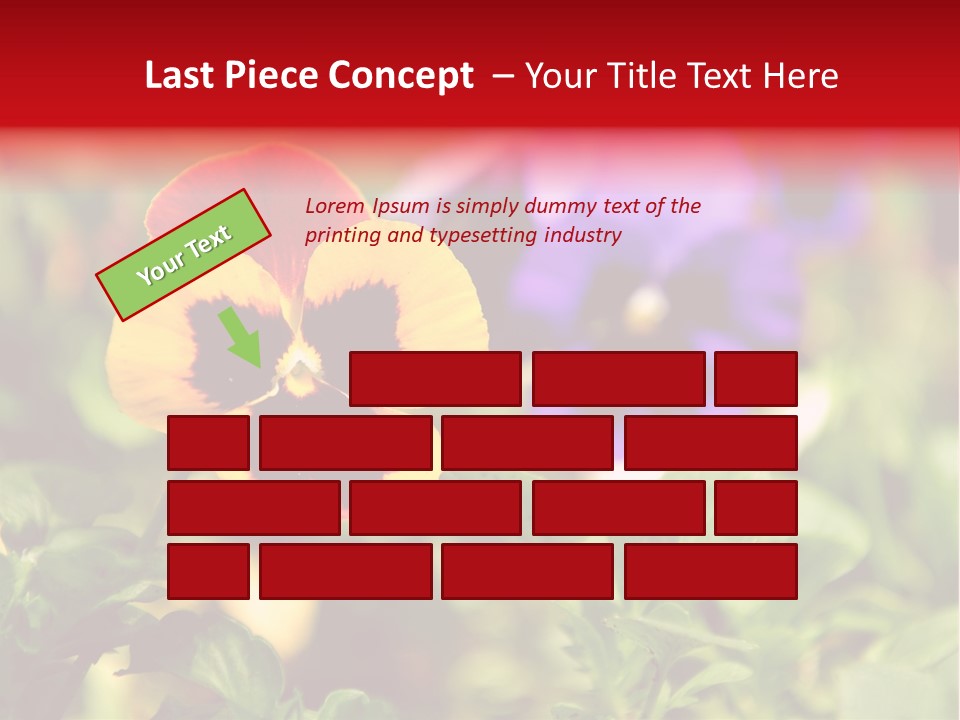 Pansy Colorful Flower PowerPoint Template