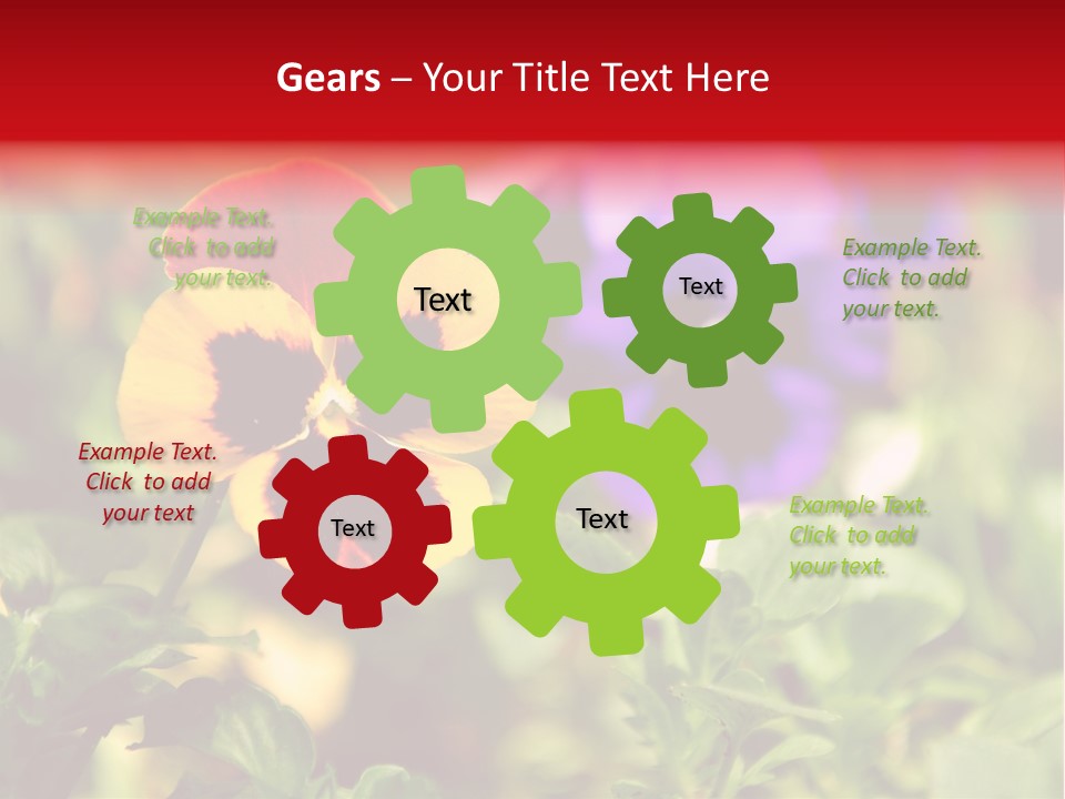 Pansy Colorful Flower PowerPoint Template