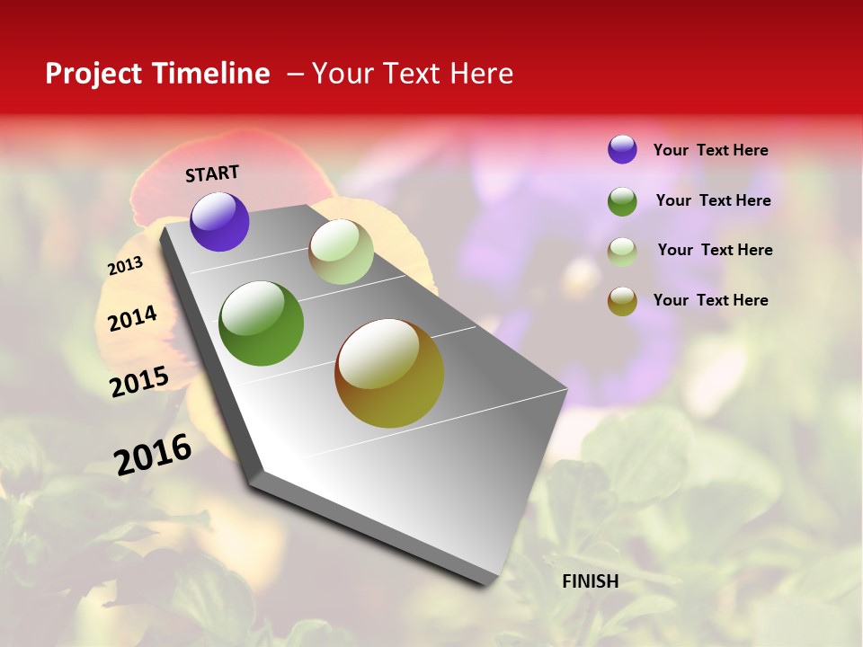 Pansy Colorful Flower PowerPoint Template