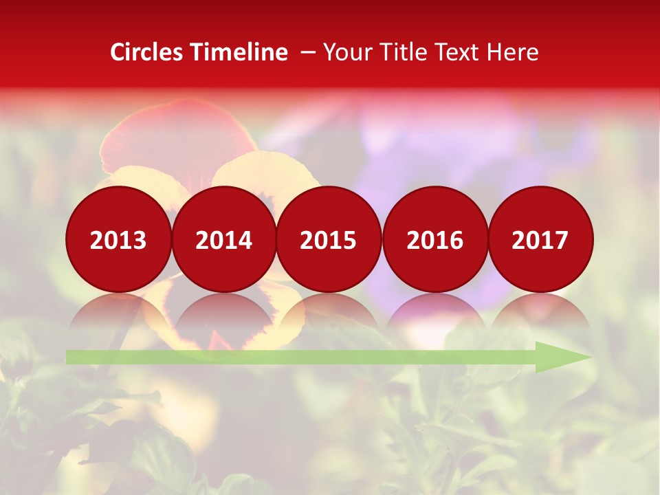 Pansy Colorful Flower PowerPoint Template