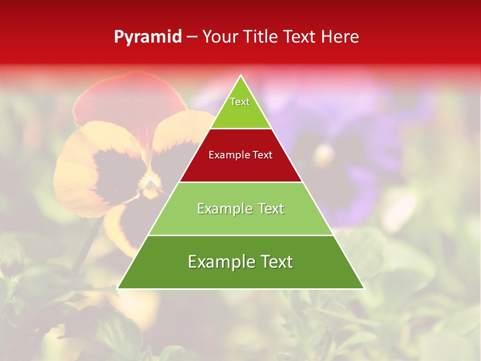 Pansy Colorful Flower PowerPoint Template