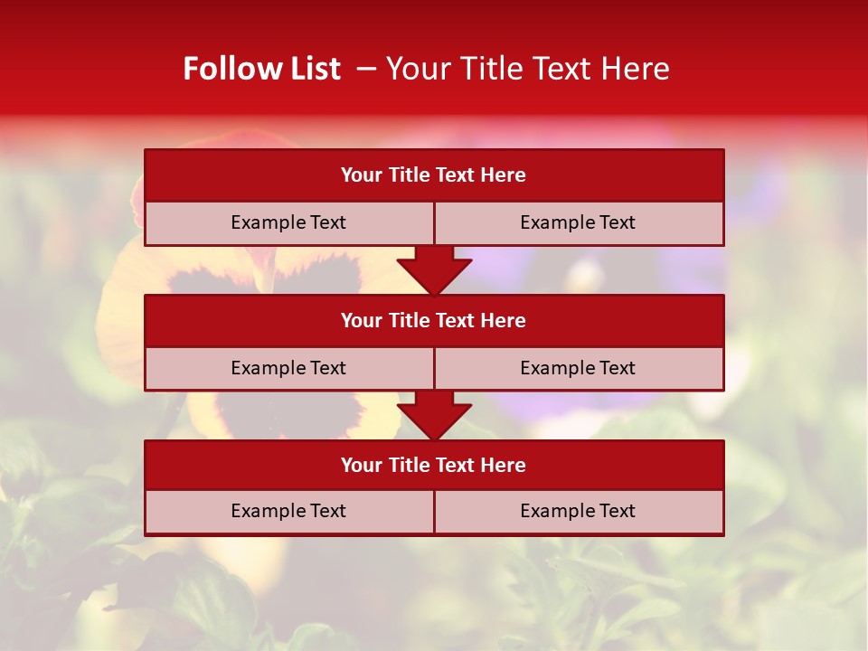 Pansy Colorful Flower PowerPoint Template