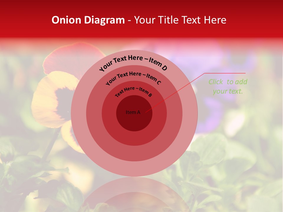 Pansy Colorful Flower PowerPoint Template