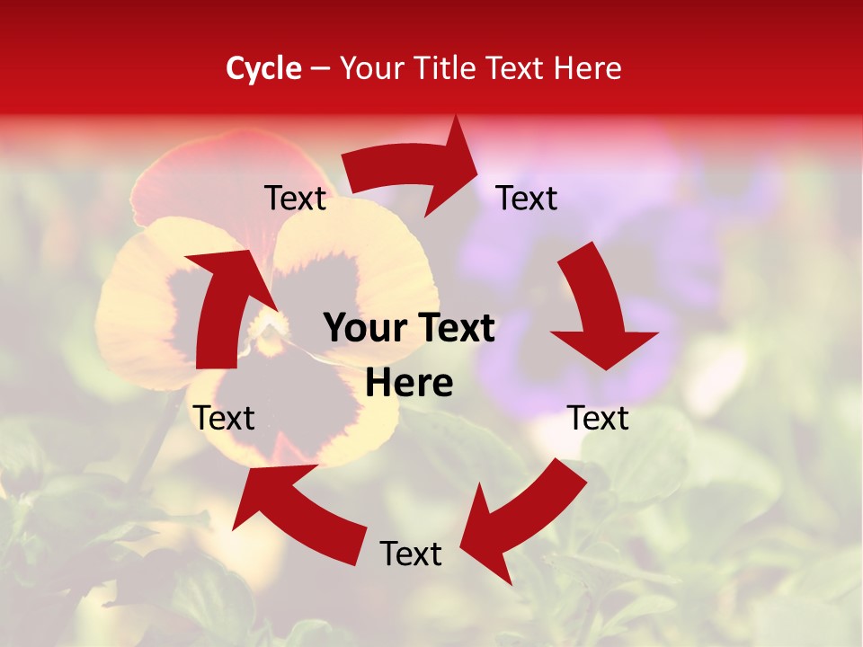 Pansy Colorful Flower PowerPoint Template