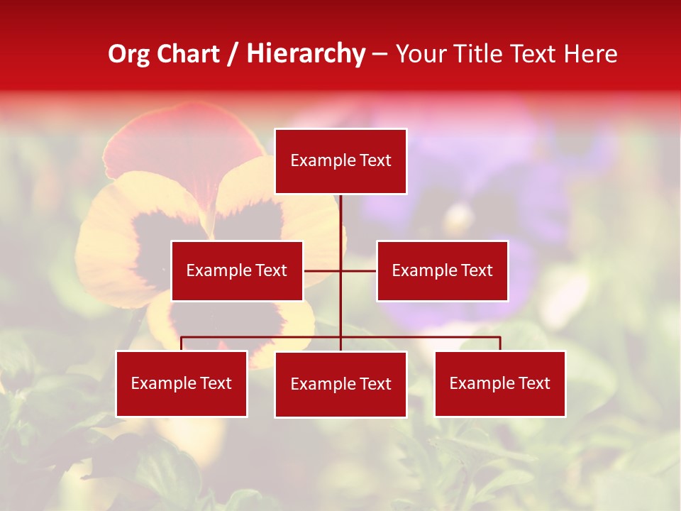 Pansy Colorful Flower PowerPoint Template