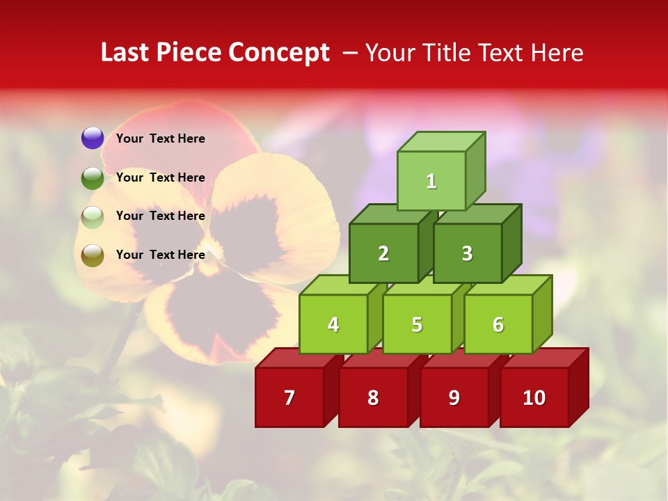 Pansy Colorful Flower PowerPoint Template