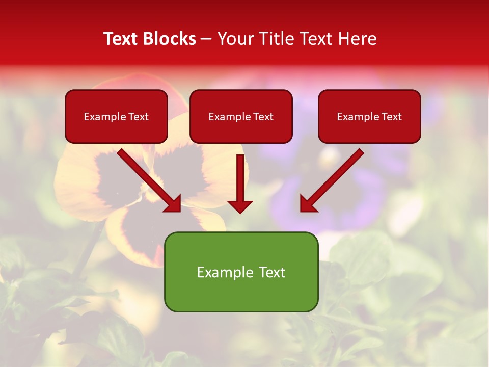 Pansy Colorful Flower PowerPoint Template