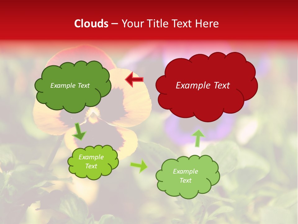 Pansy Colorful Flower PowerPoint Template