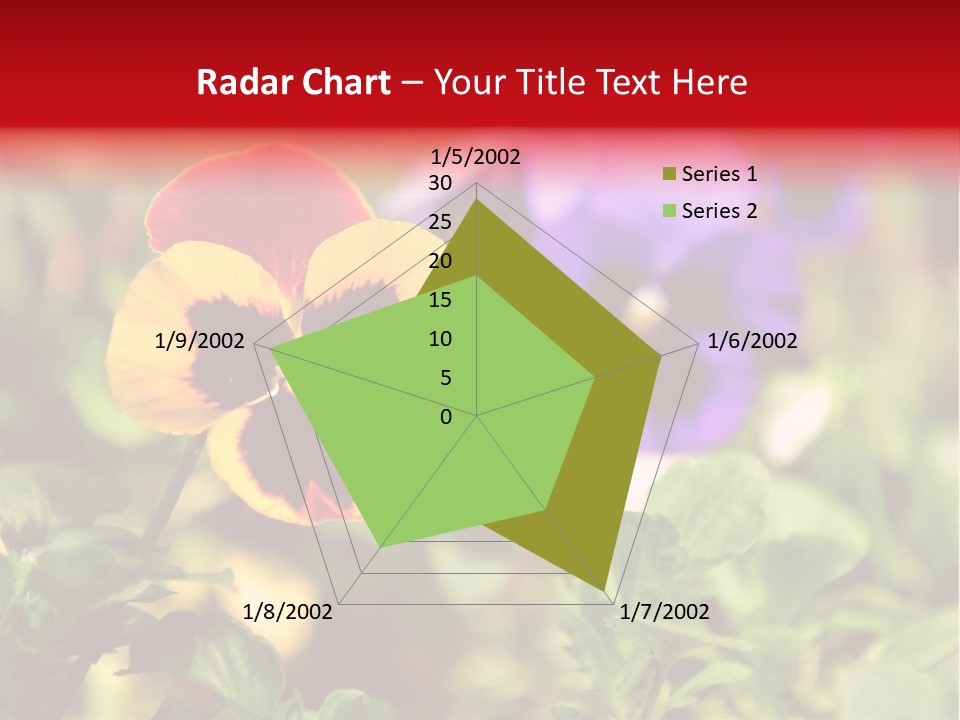 Pansy Colorful Flower PowerPoint Template