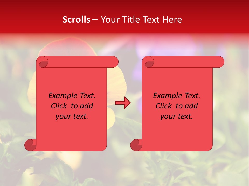 Pansy Colorful Flower PowerPoint Template