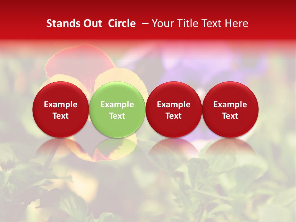 Pansy Colorful Flower PowerPoint Template