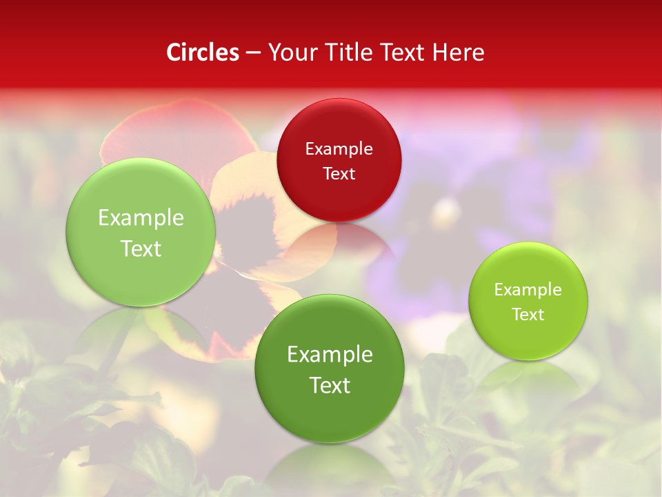 Pansy Colorful Flower PowerPoint Template