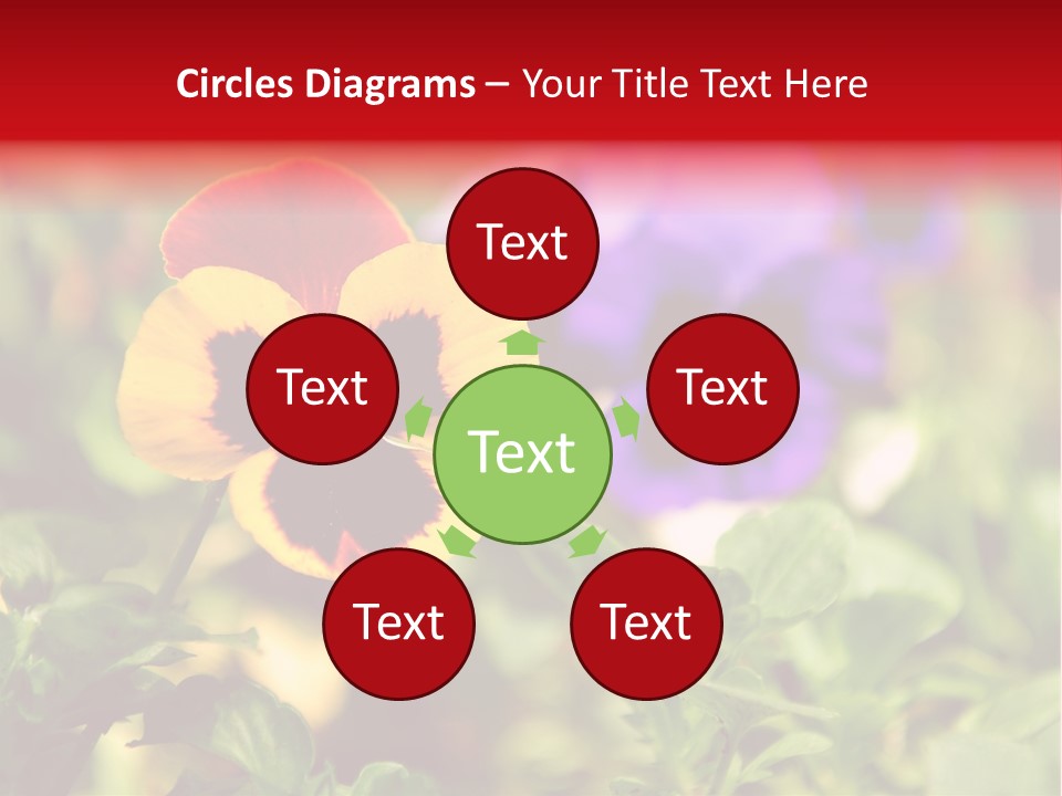 Pansy Colorful Flower PowerPoint Template