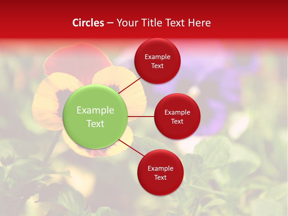 Pansy Colorful Flower PowerPoint Template