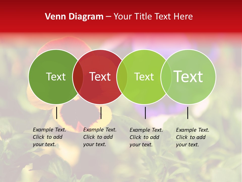 Pansy Colorful Flower PowerPoint Template