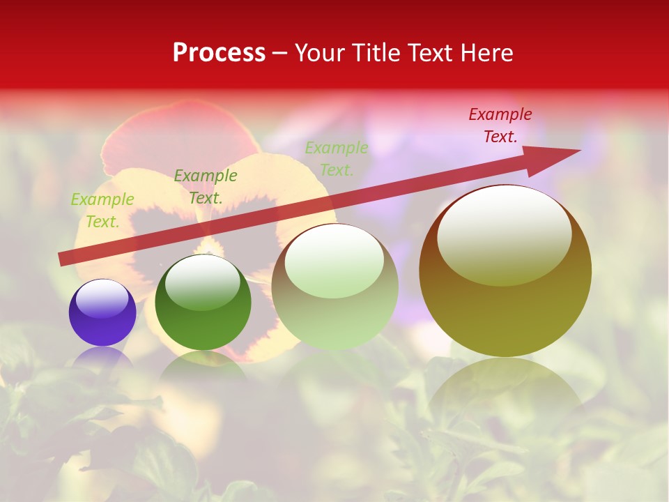 Pansy Colorful Flower PowerPoint Template