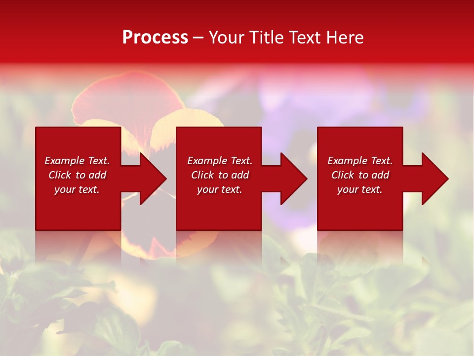 Pansy Colorful Flower PowerPoint Template