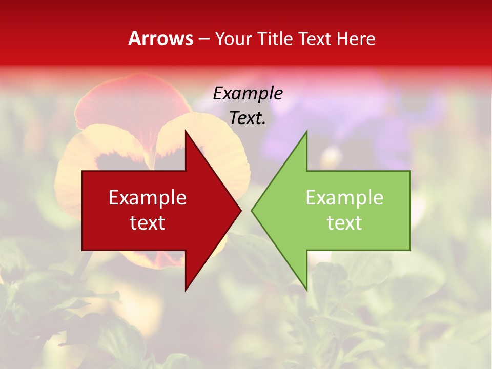 Pansy Colorful Flower PowerPoint Template