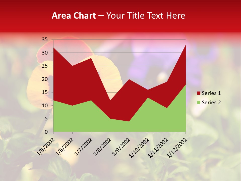 Pansy Colorful Flower PowerPoint Template