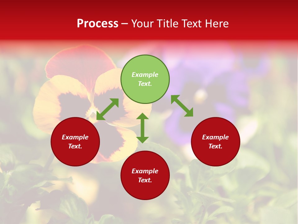 Pansy Colorful Flower PowerPoint Template