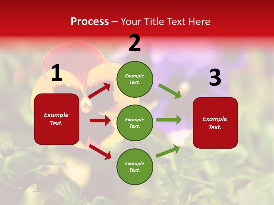 Pansy Colorful Flower PowerPoint Template