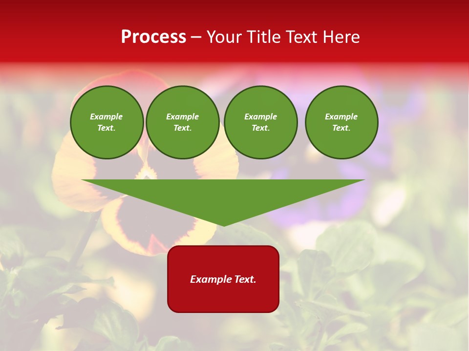 Pansy Colorful Flower PowerPoint Template