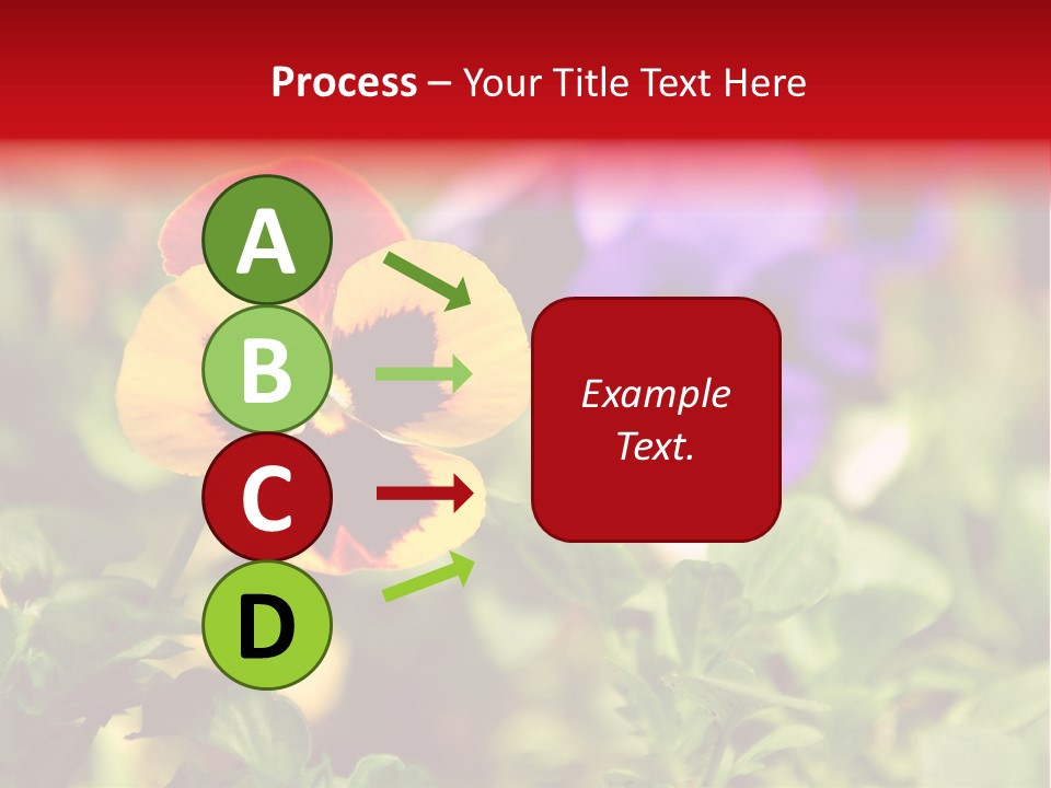 Pansy Colorful Flower PowerPoint Template