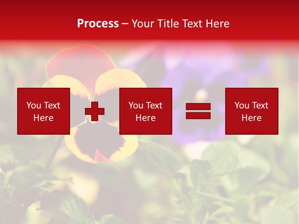 Pansy Colorful Flower PowerPoint Template