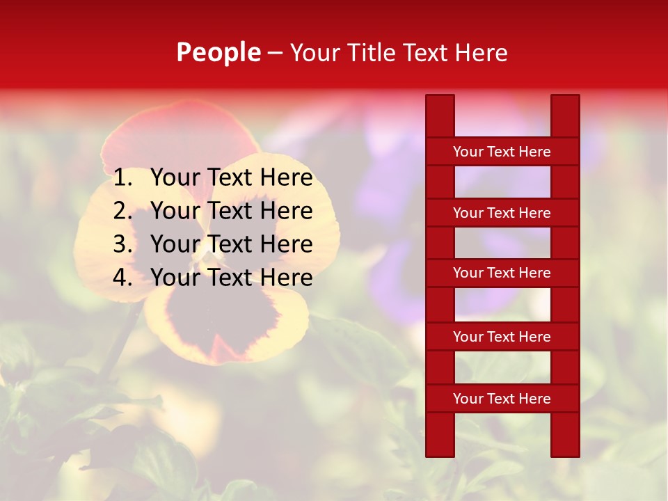 Pansy Colorful Flower PowerPoint Template