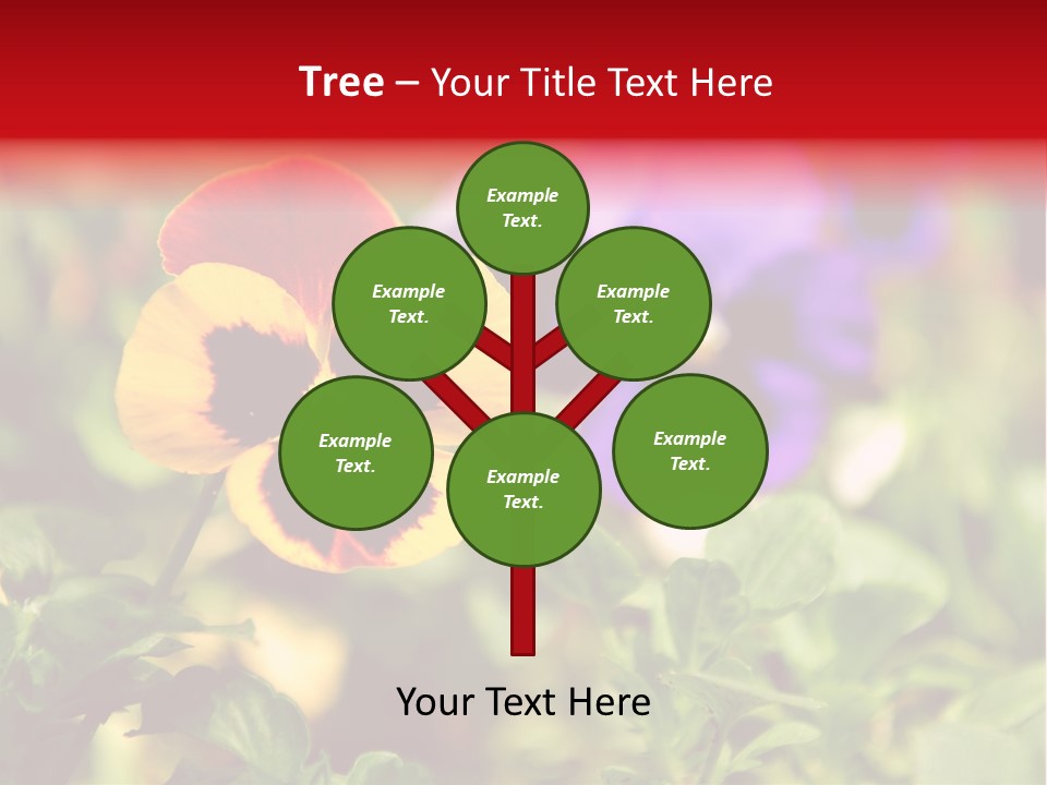 Pansy Colorful Flower PowerPoint Template