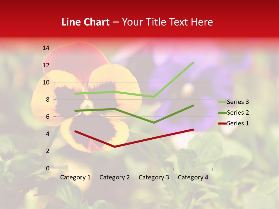 Pansy Colorful Flower PowerPoint Template