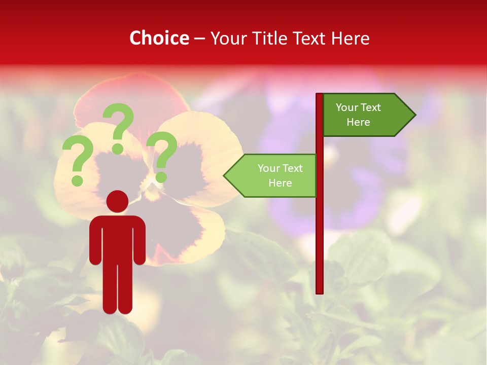 Pansy Colorful Flower PowerPoint Template