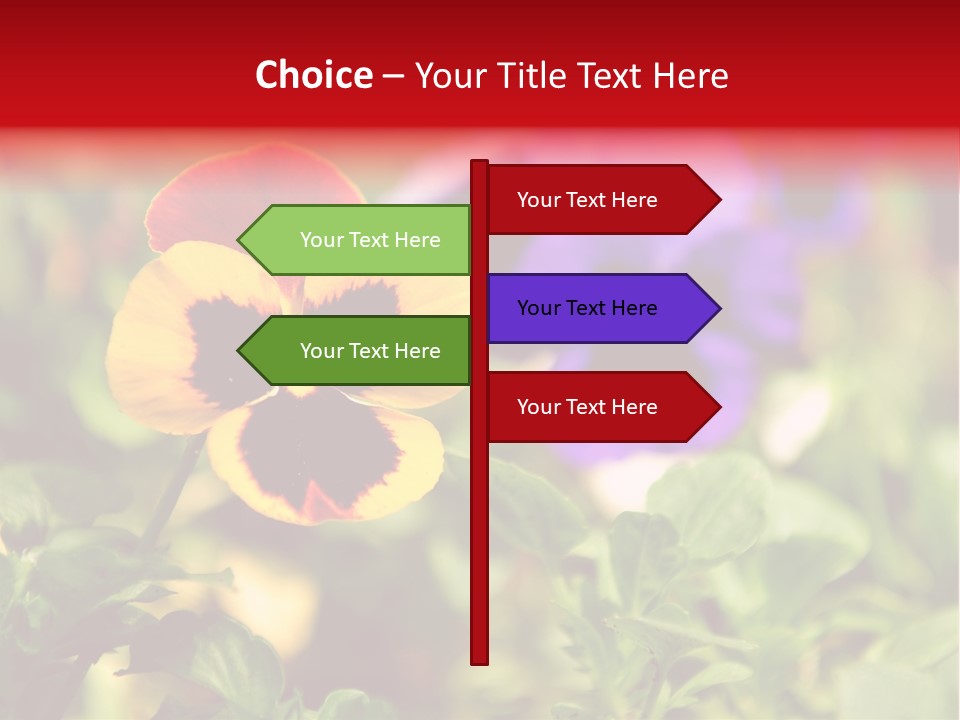 Pansy Colorful Flower PowerPoint Template