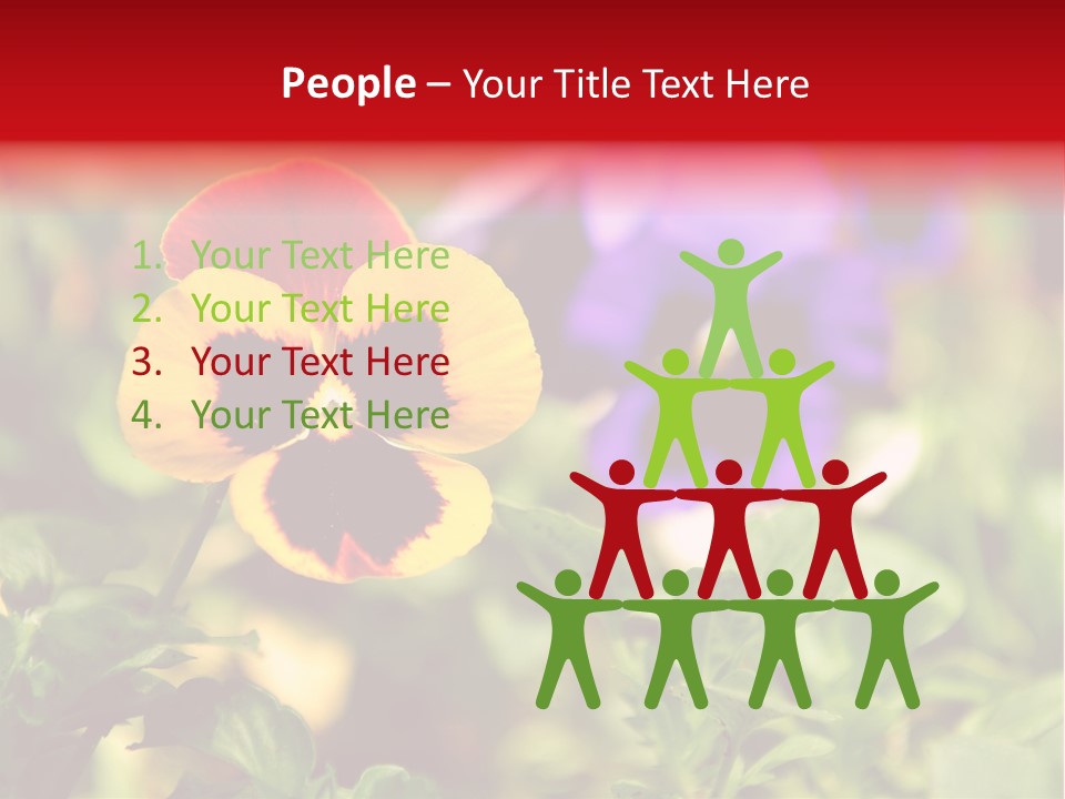 Pansy Colorful Flower PowerPoint Template