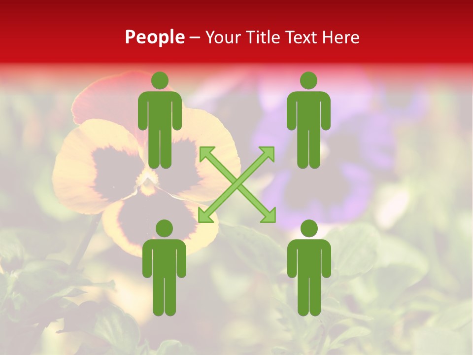 Pansy Colorful Flower PowerPoint Template