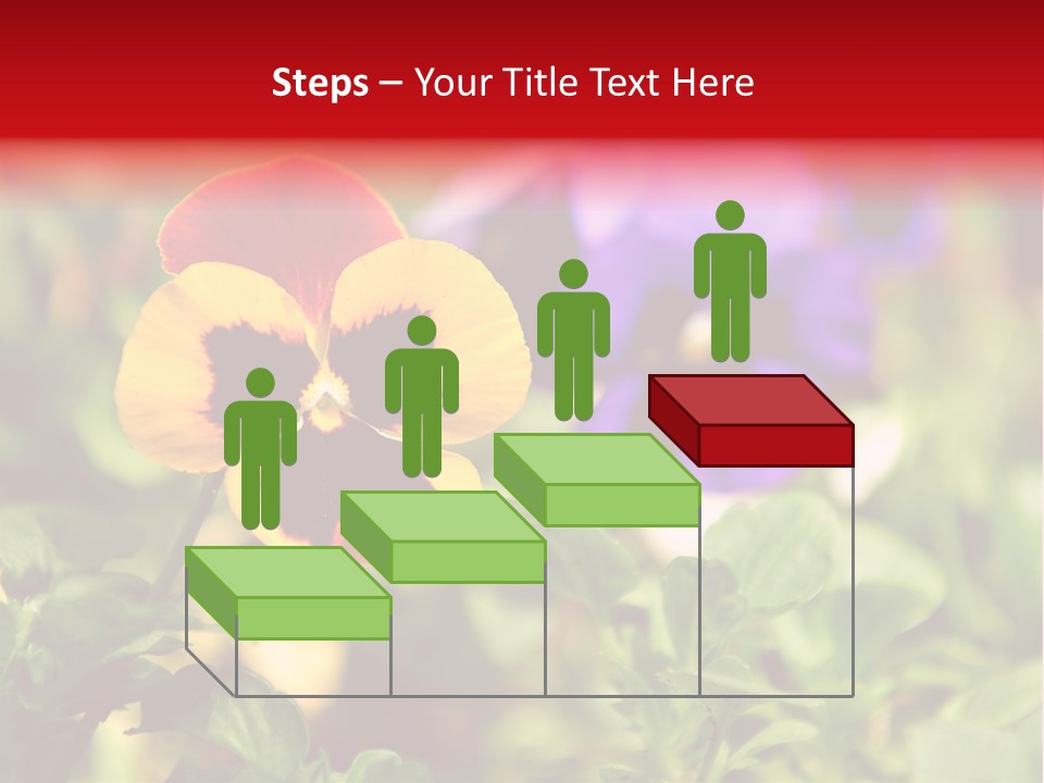 Pansy Colorful Flower PowerPoint Template