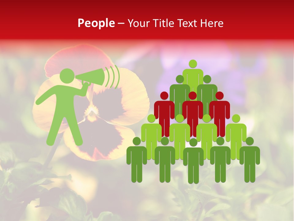 Pansy Colorful Flower PowerPoint Template