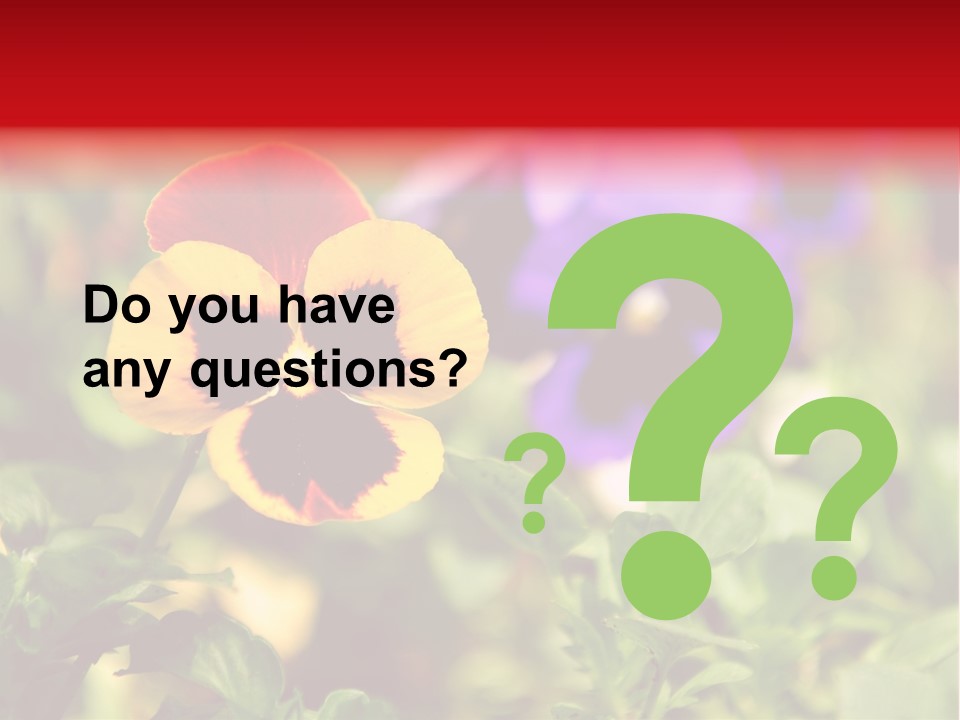 Pansy Colorful Flower PowerPoint Template