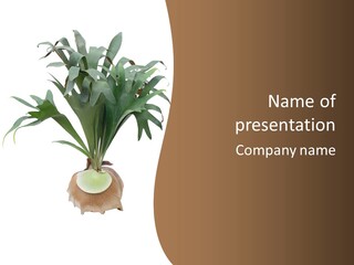 Biology Jungle Cone PowerPoint Template