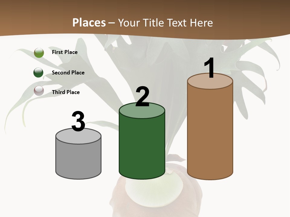 Biology Jungle Cone PowerPoint Template
