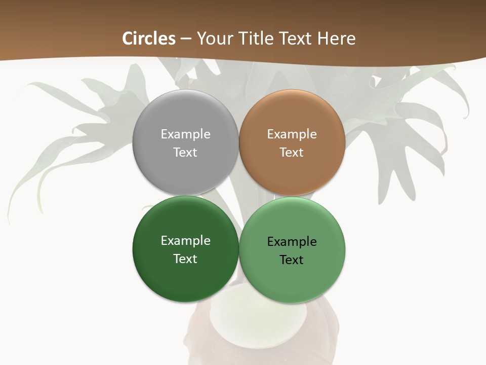Biology Jungle Cone PowerPoint Template